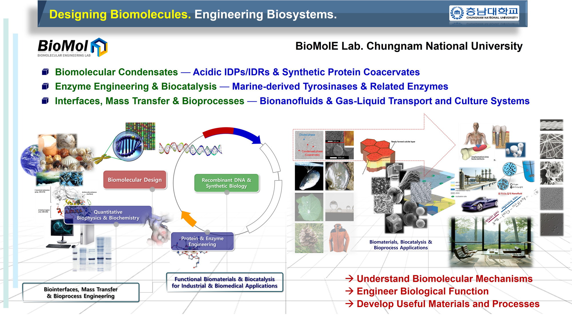 BioMolE Lab research overview